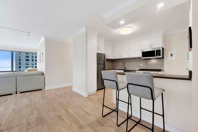 247 E CHESTNUT Street 1201, Chicago, IL 60611