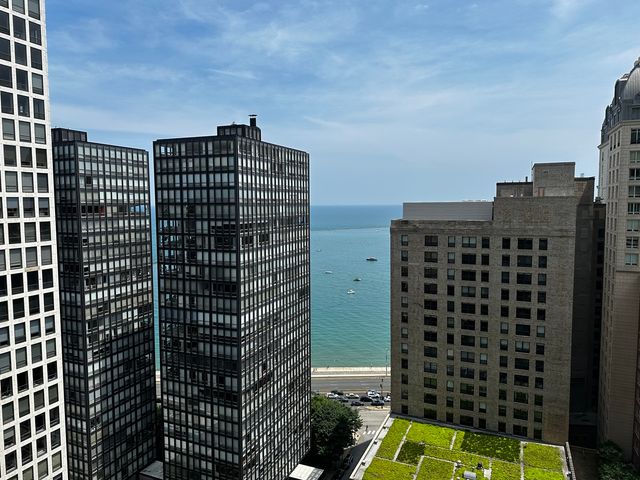 247 E CHESTNUT Street 1201, Chicago, IL 60611