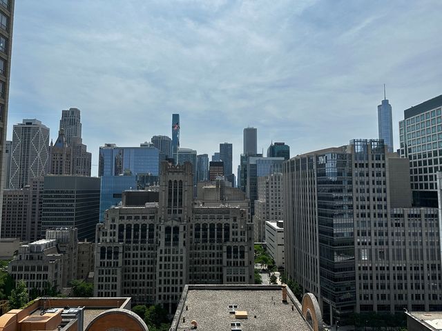 247 E CHESTNUT Street 1201, Chicago, IL 60611