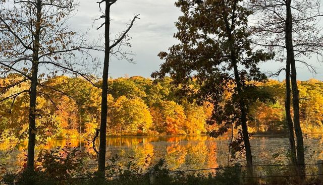 194 W Sutton Rd, Sutton, MA 01590