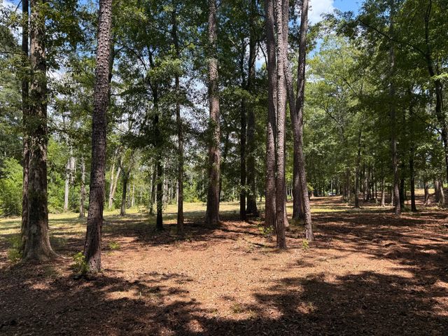 0 Lincoln Avenue, Summerville, SC 29485