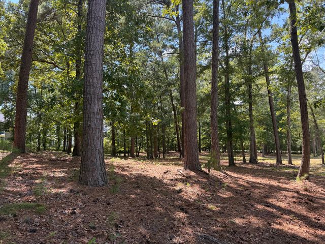 0 Lincoln Avenue, Summerville, SC 29485