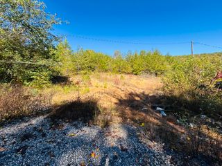 9999 Shelby Hurst Road, Williamsburg, KY 40769