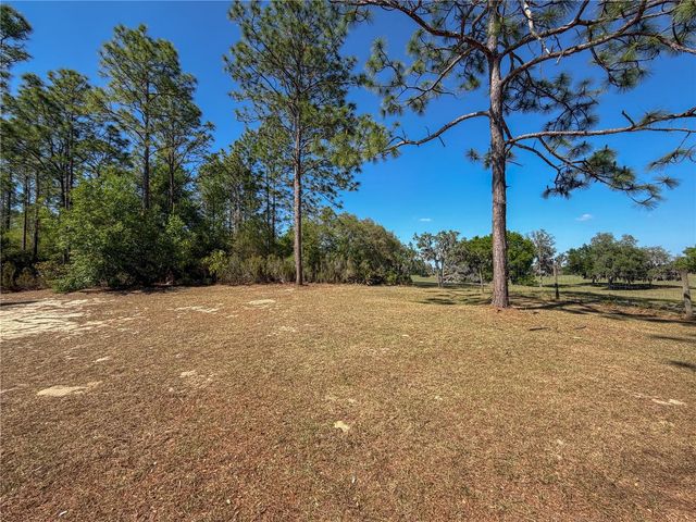 4497 NE 142ND AVENUE, Williston, FL 32696