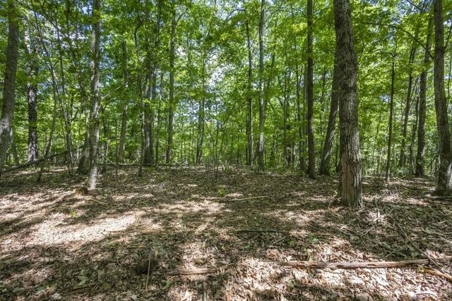 34 Donley Rd Road, Murphy, NC 28906