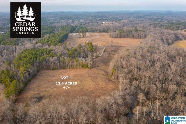 Lot 8 CEDAR SPRINGS DRIVE, Jacksonville, AL 36265