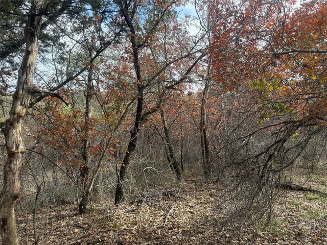 7204 CLIFDEN Drive, Brownwood, TX 76801