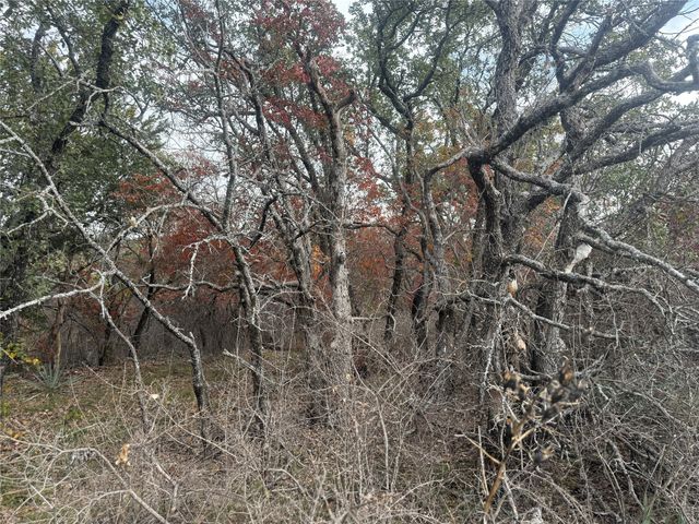 7204 CLIFDEN Drive, Brownwood, TX 76801