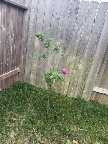 30011 Ousel Falls Lane, Katy, TX 77441