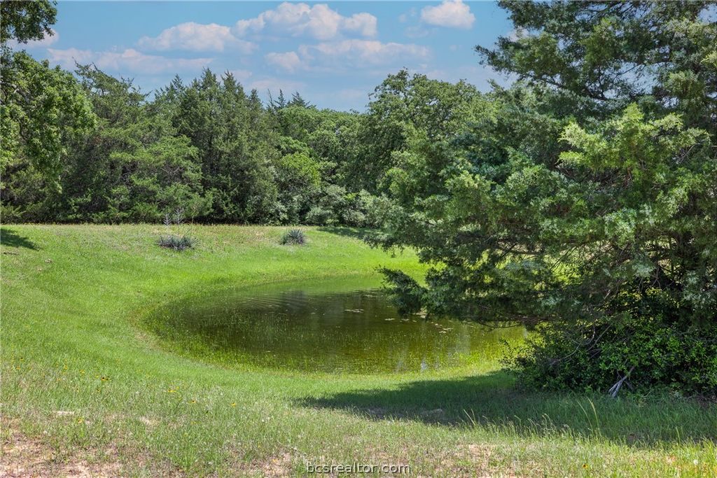 3248 County Road 324, Caldwell, TX 77836 — photo 5