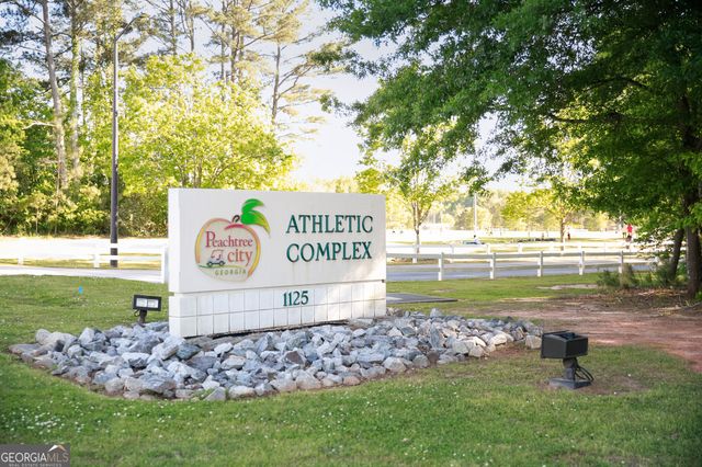 308 Dalston Way, Peachtree City, GA 30269