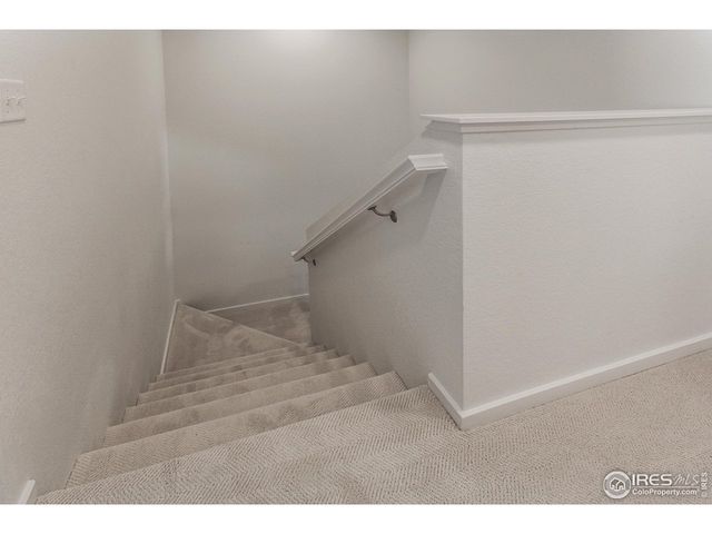 4898 River Roads Dr, Timnath, CO 80547