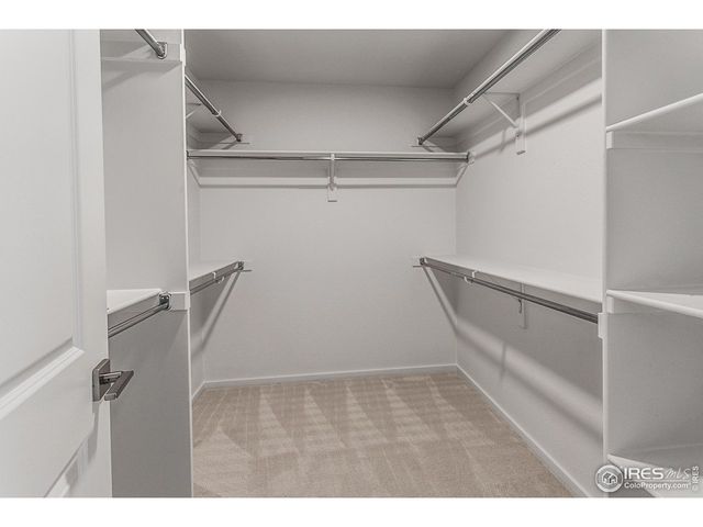 4898 River Roads Dr, Timnath, CO 80547