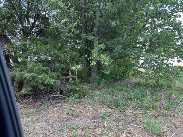 Lot 1 Rutledge Road, Whitewright, TX 75491