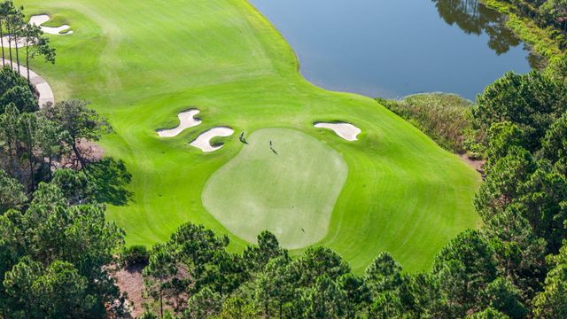 107 Golfridge Drive, Inlet Beach, FL 32461