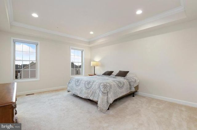 13905 BUFFLEHEAD ST, Clarksburg, MD 20871