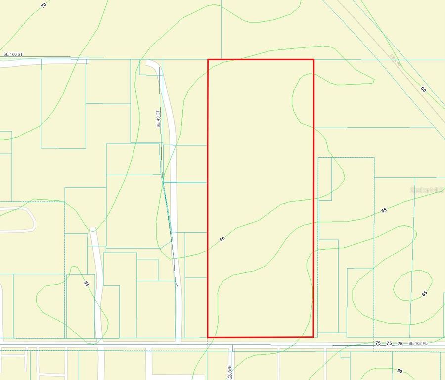 Image 5 of property listing at 00 SE 102 PLACE, Belleview, FL 34420