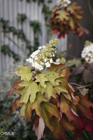 1500 Oxley Street, South Pasadena, CA 91030