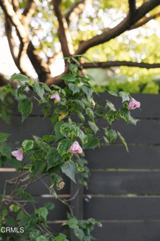 1500 Oxley Street, South Pasadena, CA 91030