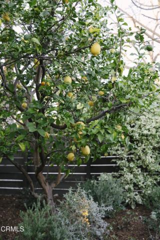 1500 Oxley Street, South Pasadena, CA 91030