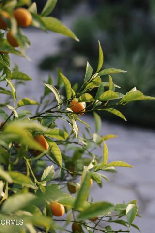 1500 Oxley Street, South Pasadena, CA 91030