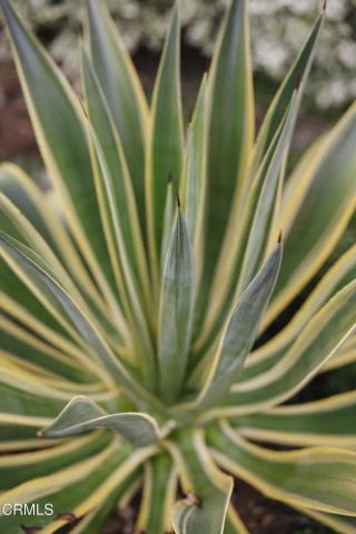 1500 Oxley Street, South Pasadena, CA 91030