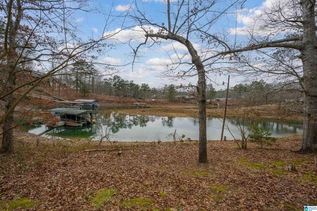 281 SHADY WAY LANE, Jasper, AL 35504