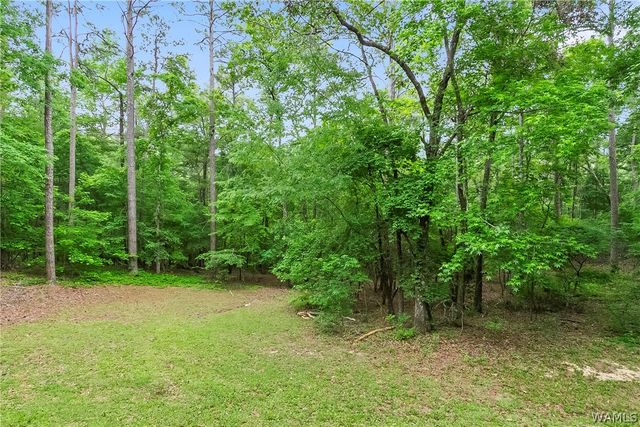 12004 Lary Lake, Northport, AL 35475