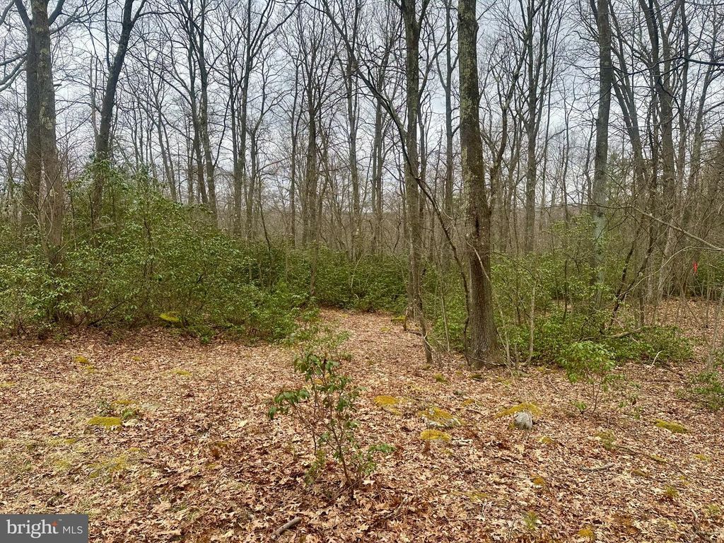 Image 32 of property listing at 552 BLACK OAK DR, Oakland, MD 21550