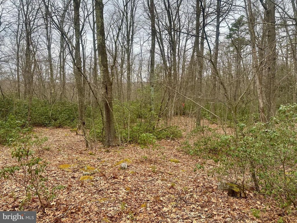 Image 33 of property listing at 552 BLACK OAK DR, Oakland, MD 21550