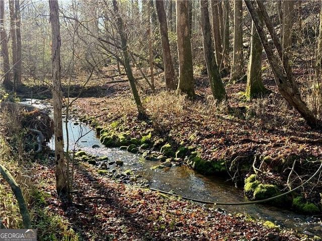 1565 Shoal Creek Road NW, Clermont, GA 30527
