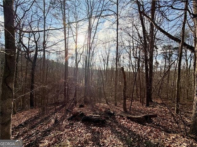1565 Shoal Creek Road NW, Clermont, GA 30527