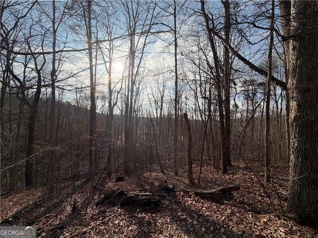 1565 Shoal Creek Road NW, Clermont, GA 30527