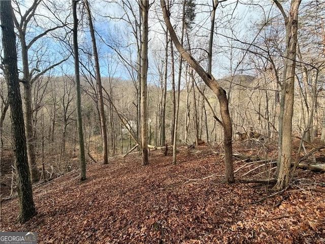 1565 Shoal Creek Road NW, Clermont, GA 30527