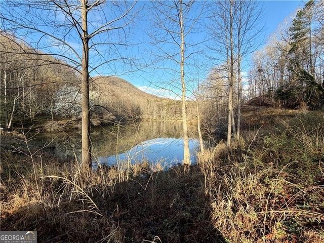 1565 Shoal Creek Road NW, Clermont, GA 30527