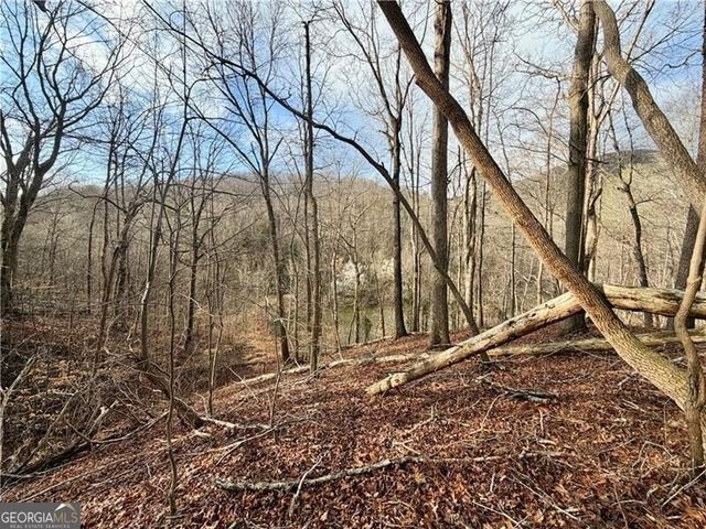 1565 Shoal Creek Road NW, Clermont, GA 30527