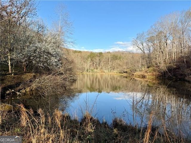 1565 Shoal Creek Road NW, Clermont, GA 30527