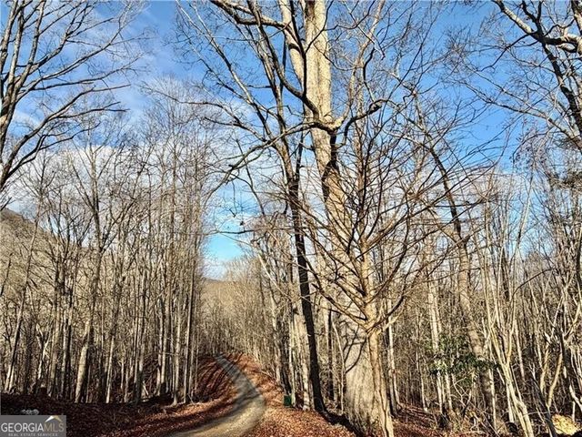 1565 Shoal Creek Road NW, Clermont, GA 30527
