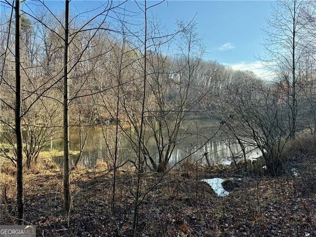 1565 Shoal Creek Road NW, Clermont, GA 30527