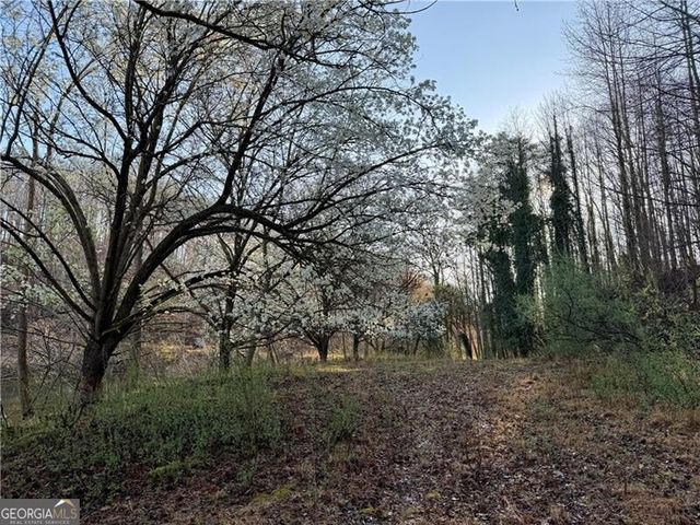 1565 Shoal Creek Road NW, Clermont, GA 30527