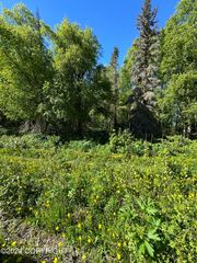 Lot 4 Lake Village Sub, Nikiski/north Kenai, AK 99611