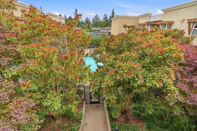 4388 El Camino Real 309, Los Altos, CA 94022