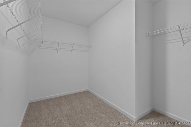 1553 Percheron Path, Fayetteville, NC 28312