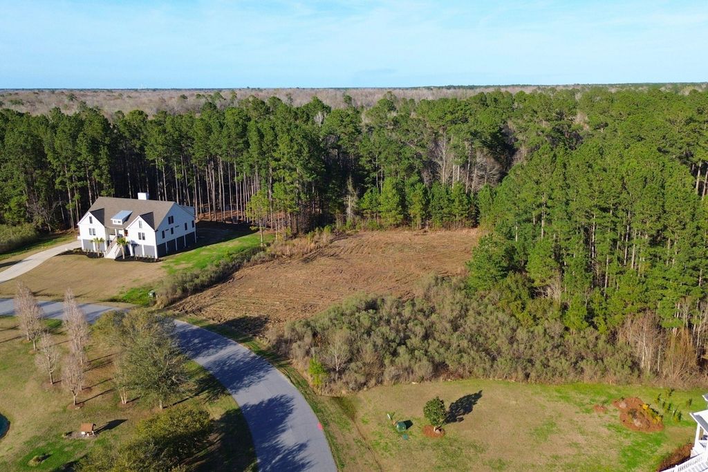Image 2 of property listing at 1321 Wood Sorrel Drive, Moncks Corner, SC 29461