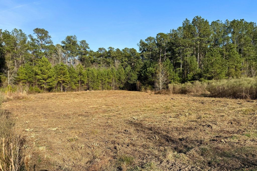 Image 5 of property listing at 1321 Wood Sorrel Drive, Moncks Corner, SC 29461