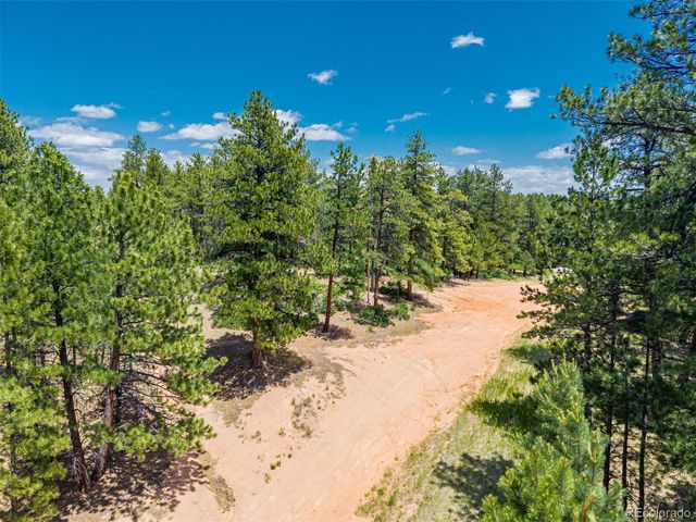 4485 Delaware Drive, Larkspur, CO 80118