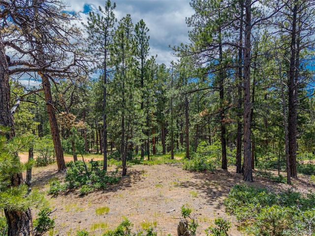 4485 Delaware Drive, Larkspur, CO 80118