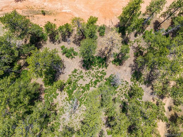 4485 Delaware Drive, Larkspur, CO 80118