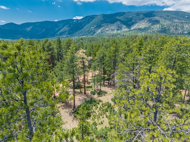 4485 Delaware Drive, Larkspur, CO 80118