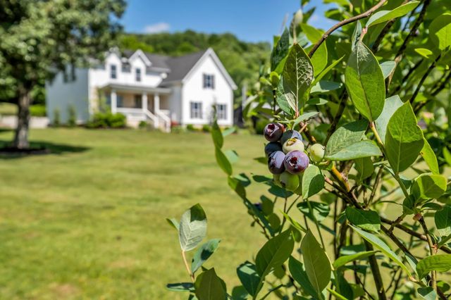 1779 Cayce Springs Rd, Thompsons Station, TN 37179